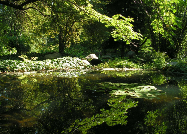 Ogród Botaniczny