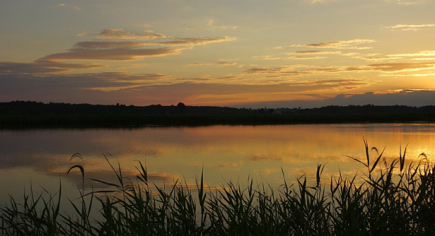 świętokrzyskie/ okolice Korytnicy