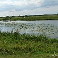 Rozlwiska Bugu w Kuligowie