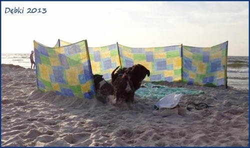 Dębki 2013 #dębki #morze #pies #sznaucer #wakacje