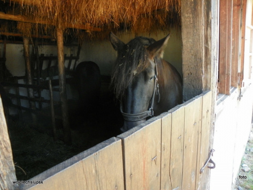 lato
skansen Kluki