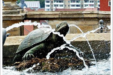 Zamek Friedensstein #Friedensstein #Gotha #Niemcy #Schloss #Zamek