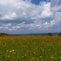 Beskid Niski - czar pól, łąk i lasów