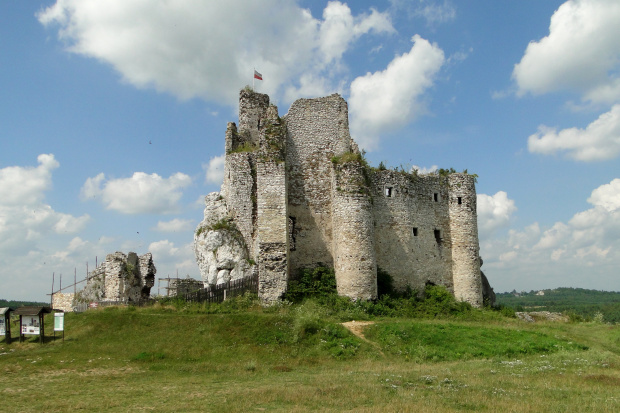 Królewski Zamek - ruiny