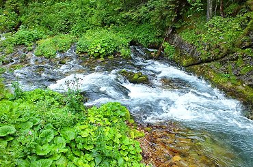 Potok Kościeliski #Tatry #Zakopane #DolinaKościeliska #PotokKościeliski