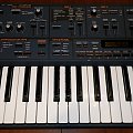 Roland JP-8000 Azzorka