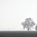 nadodrzańskie pola, łąki... październik 2014