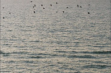 Rewal 2013 #Bałtyk #morze #Rewal #Sierpień2013 #plaża