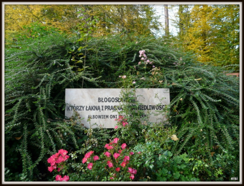 Bieszczady #PodróżeMałeIDuże