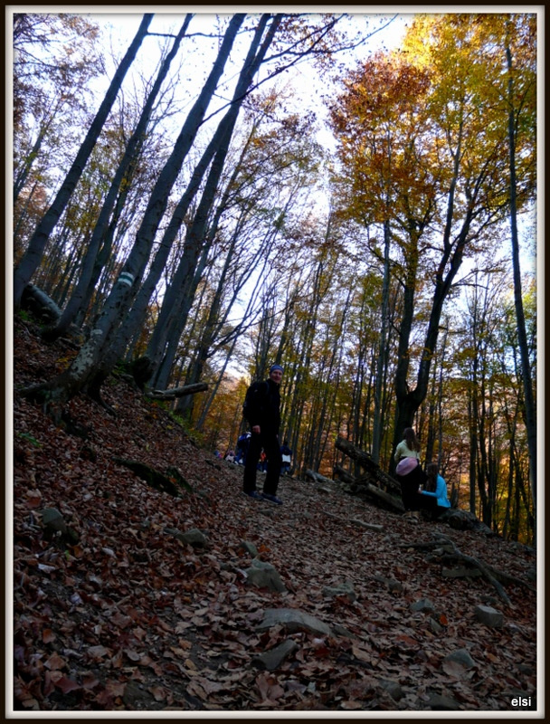 Bieszczady #PodróżeMałeIDuże