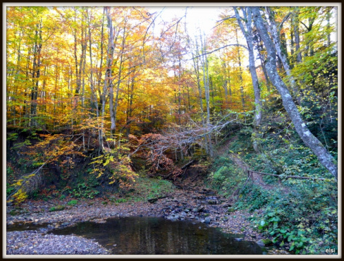 Bieszczady #PodróżeMałeIDuże