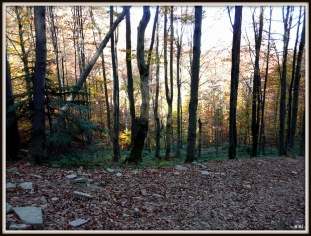 Bieszczady #PodróżeMałeIDuże