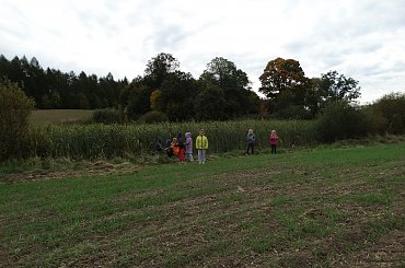 #spacer #KlasaII #jesień