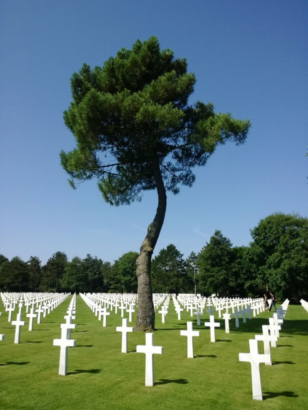 Omaha Beach - Normandia Cmentarz żołnierzy amerykańskich