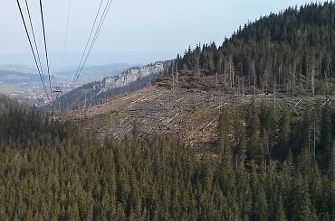W drodze powrotnej z Kasprowego #góry #Tatry #Zakopane