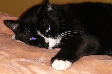 #góry #Tatry #Zakopane