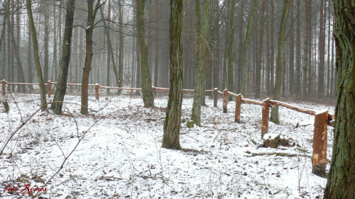 Dłutowo - cmentarz ewangelicki 2014.12.19 #Dłutowo
