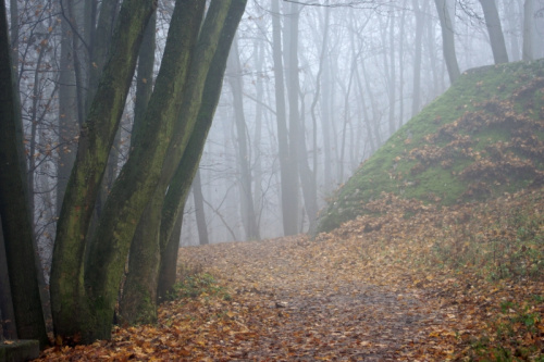 świętokrzyskie, Kielce