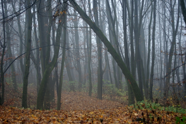 świętokrzyskie, Kielce