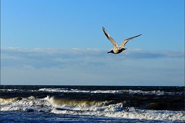 ... zachodni wiatr ... #Bałtyk #morze #plaża #ZachodniWiatr