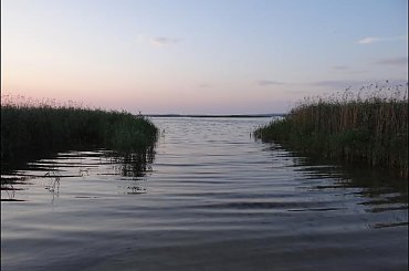 #Mazury #żagle #pies #wakacje