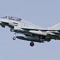 Eurofighter EF-2000 Typhoon T, Germany - Air Force