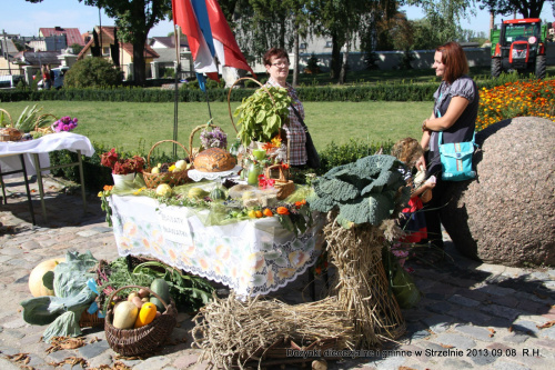 Dożynki diecezjalne i gminne w Strzelnie 2013