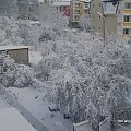 trochę zimy w jedną noc