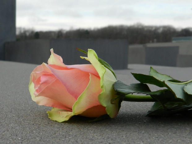 Berlin - Holocaust Memorial