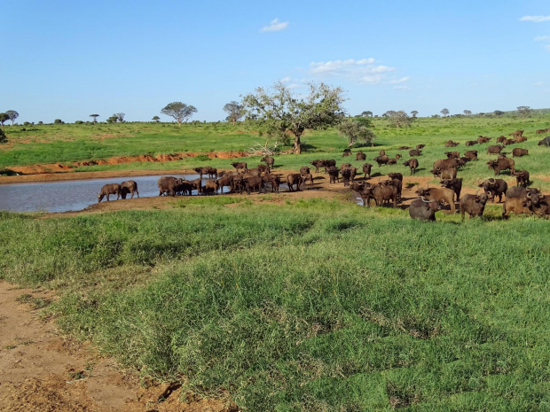 #Kenia