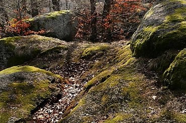 skały na górze Bismarcka - Staniszów #góry #skały