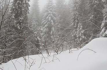 Kasina Wielka 14.03.2015 w drodze na Śnieżnicę... #arietiss #góry #krajobraz #zima