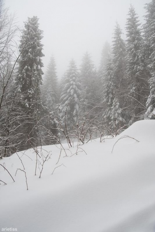Kasina Wielka 14.03.2015 w drodze na Śnieżnicę... #arietiss #góry #krajobraz #zima