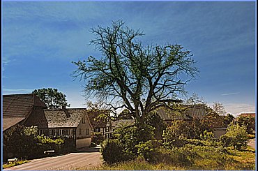 łaki,pola #łaki #pola