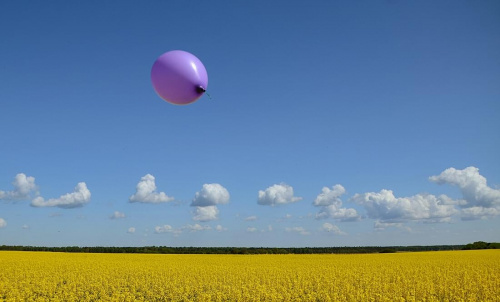 Rzepakowy landszafcik ... #rzepak #balon #pola #niebo #chmury #obłoczki