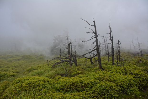 Kierunek Brocken