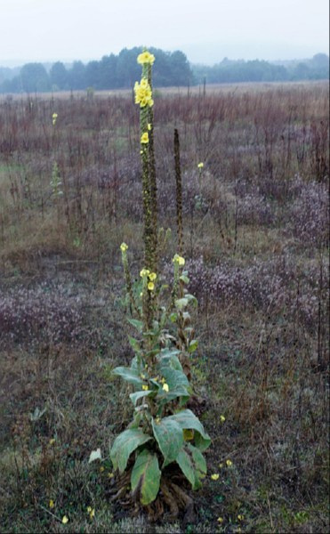 świętokrzyskie
