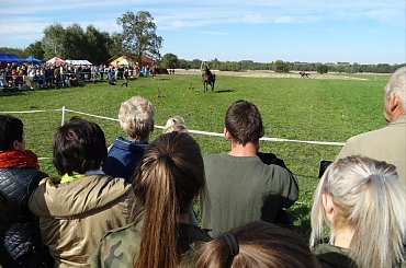 #Sobieszyn #Brzozowa 2015 #Osmolice