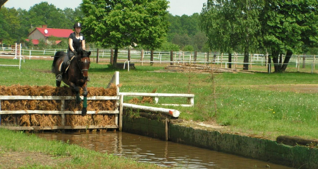 przeszkody krosowe - trening