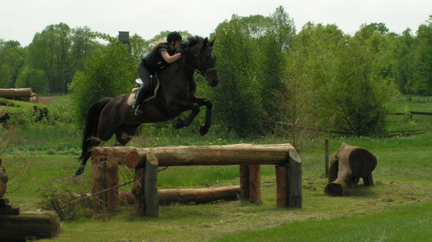 przeszkody krosowe - trening