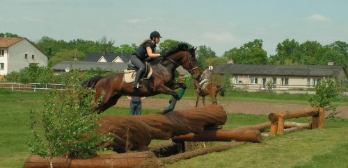 przeszkody krosowe - trening