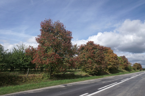 świętokrzyskie