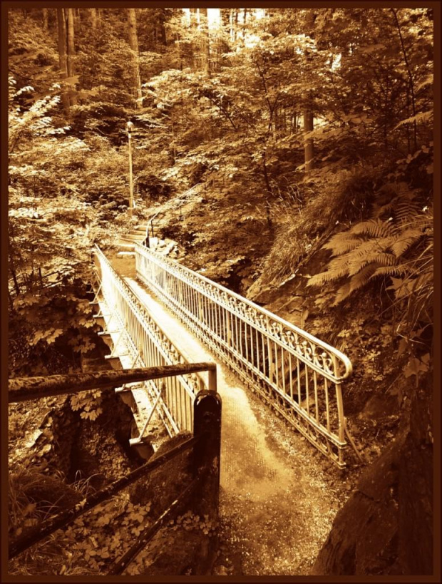 Most nad Wodospadem Wilczki w Międzygórzu (Masyw Śnieżnika) #Sudety #MasywŚnieżnika #Międzygórze #DolnyŚląsk #WodospadWilczki #góry #podróże #wycieczki