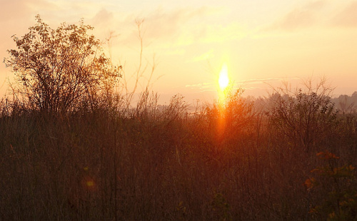 świętokrzyskie
