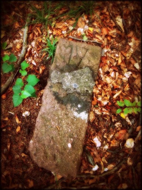 Kamień graniczny nr 17. #DolnyŚląsk #góry #GórySowie #KamienieGraniczne #KamieńGraniczny #SłupekGraniczny #SłupkiGraniczne #Sudety #geodezja